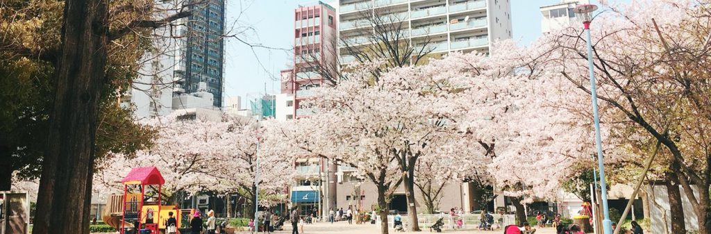 堀江公園について